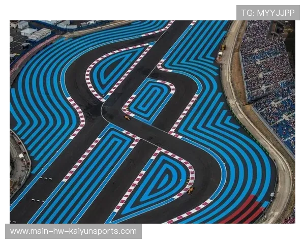 一级方程式车手在复杂赛道中寻找最佳切弯线路逻辑（455 ）